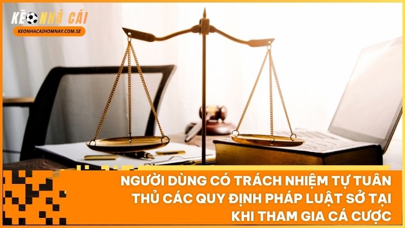 Người dùng có nghĩa vụ tự giác tìm hiểu và tuân thủ khung pháp lý của quốc gia sở tại